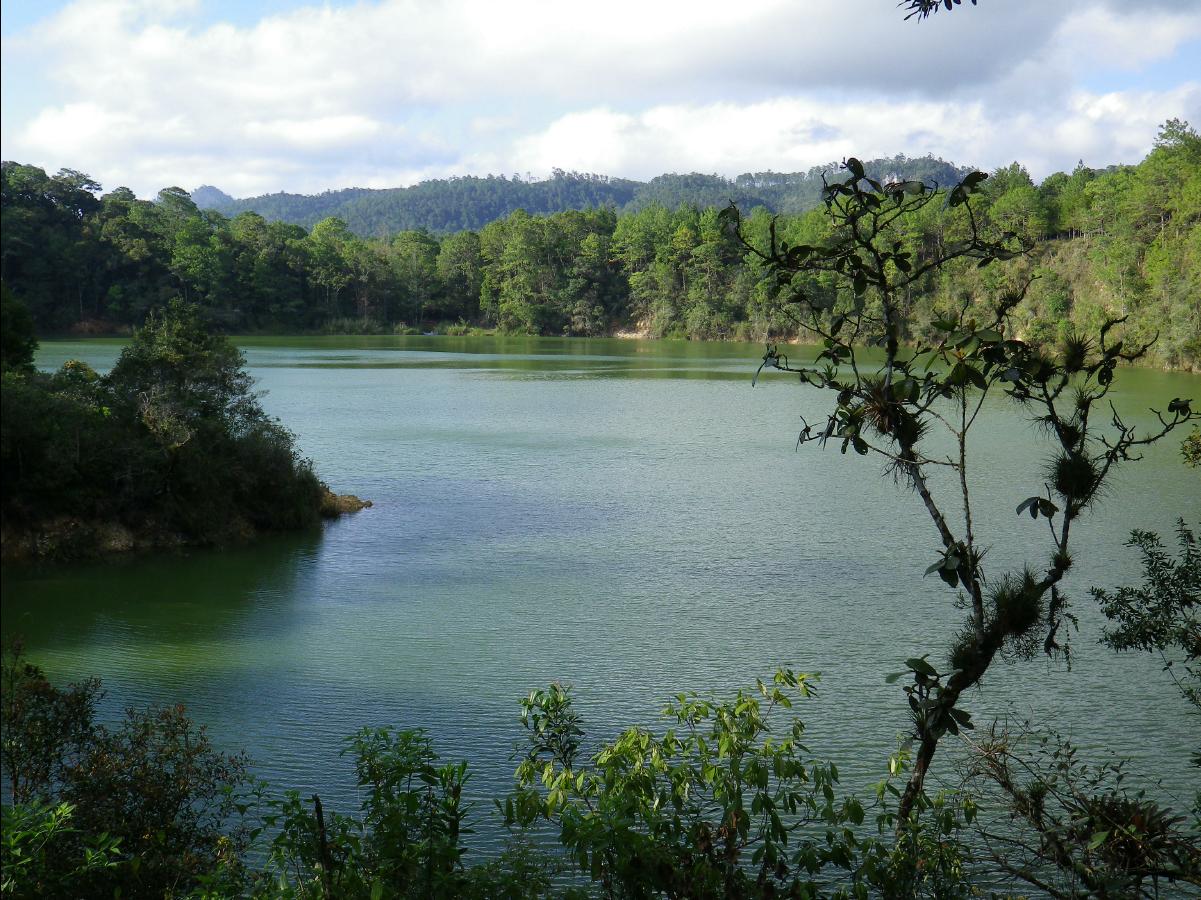 Lake Area37